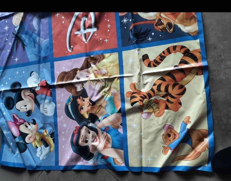 Disney Vinyl Banner - photo 5