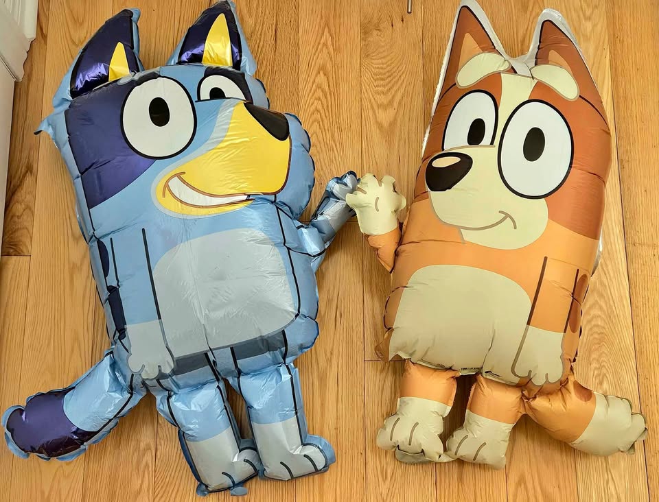 Bluey and Bingo Foil Balloon