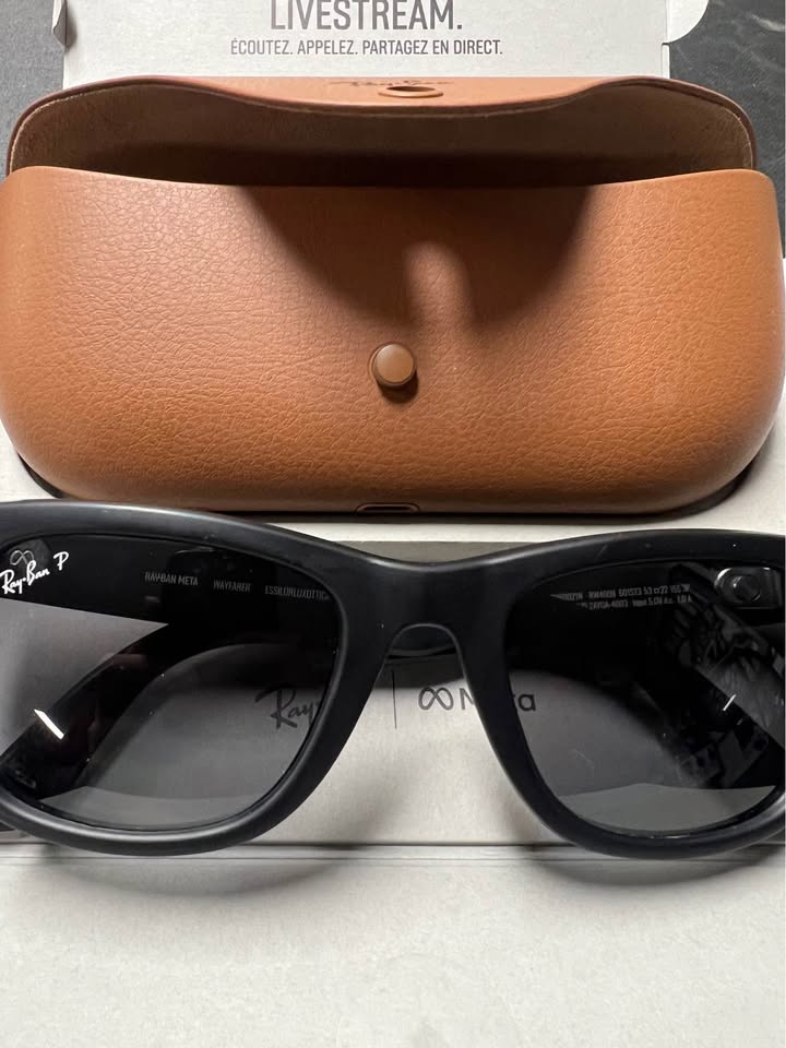 RayBan Meta Wayfarer MATTE BLACK RW4008 - photo 3