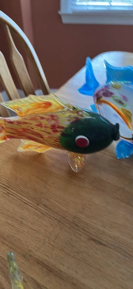 Glass fish image indicator(5)