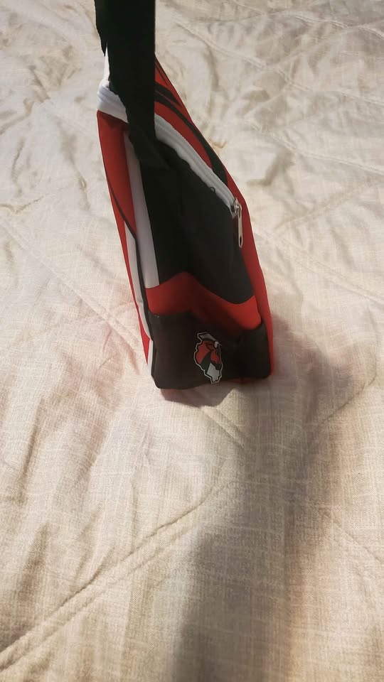 NEW Lunch Bag Windy City Bulls - photo 3