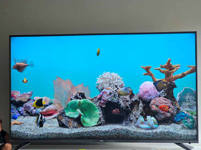 FLAT SCREEN TV (55 inch ROKU TCL TV)