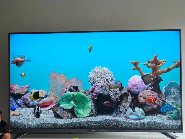 FLAT SCREEN TV (55 inch ROKU TCL TV)