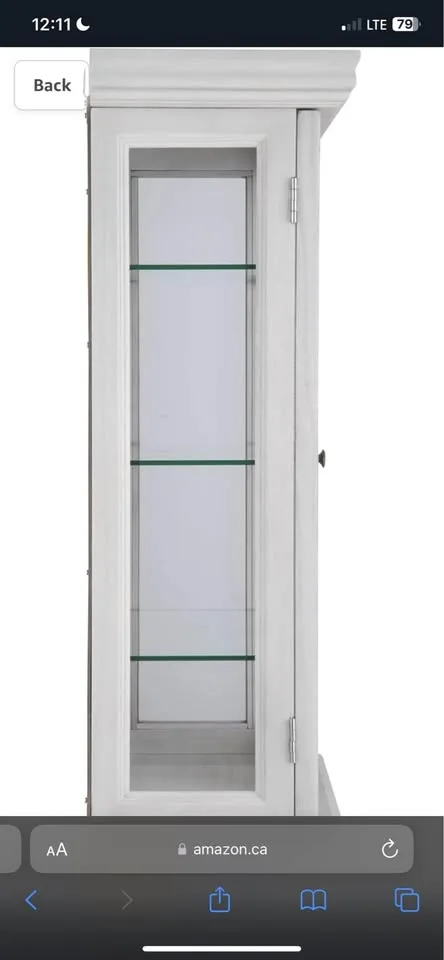 Design Toscano Wall Curio Cabinet image indicator(5)