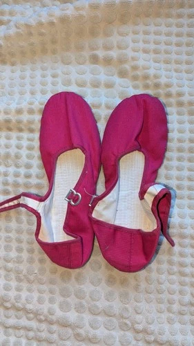 Hot Pink Flats with a strap 8.5