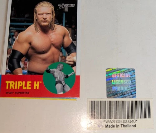 WWF Triple H Mug by Danbury Mint Collector Stein 2001 Mug - photo 2