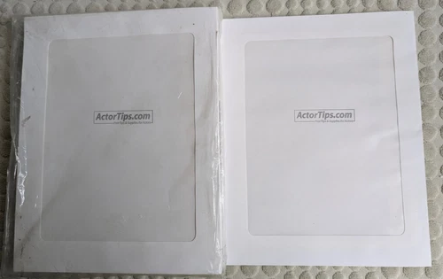 230 white headshot window 8 x 10 envelopes