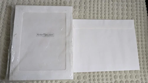 230 white headshot window 8 x 10 envelopes - photo 2