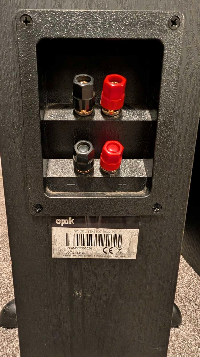 Polk Audio Floor-standing speakers TSx550T - photo 3