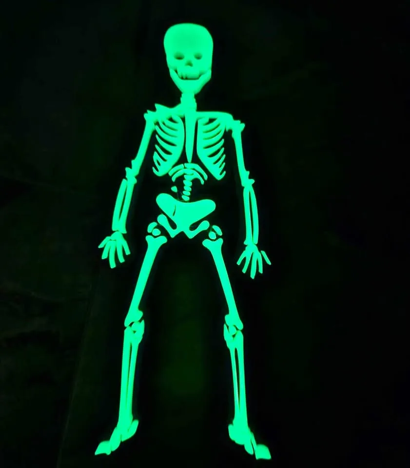 Glow in the dark decoration! image indicator(8)