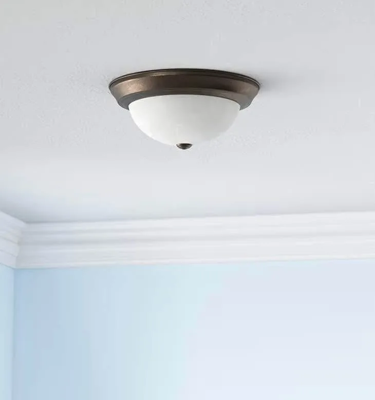 Diodesy- Flush Mount Ceiling Lights Fixture 13 Inch Dome with Fr image indicator(9)