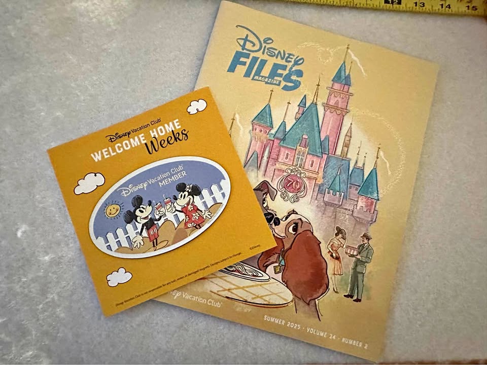 Disney Files & Disney Vacation Magnet