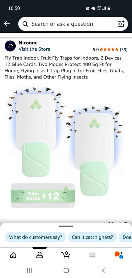 Fly trap