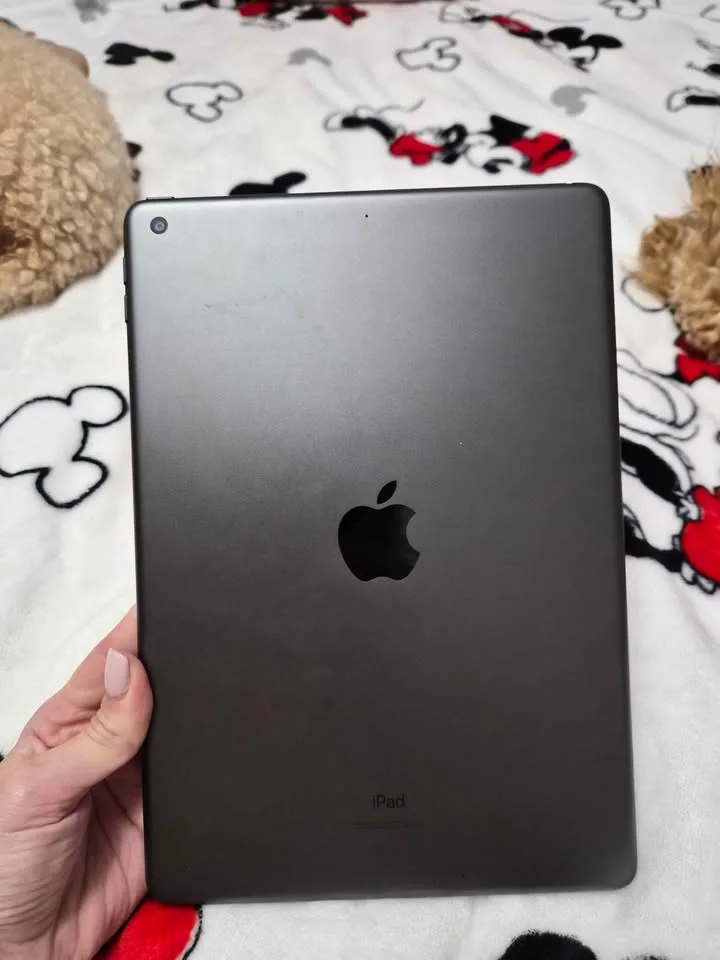 Apple Ipad 9th generation image indicator(2)