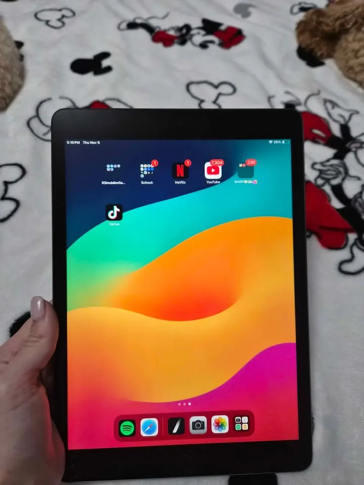 Apple Ipad 9th generation image indicator(4)