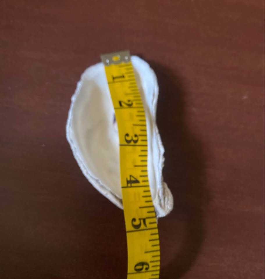 15pcs 4-2in Long Flat Oyster Shells, Oyster Shells for Crafts,Na - photo 4