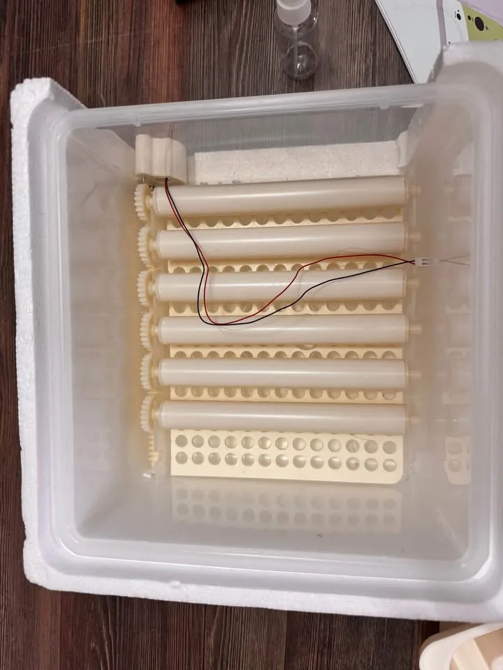 Incubator for Hatching – 12 Eggs image indicator(4)