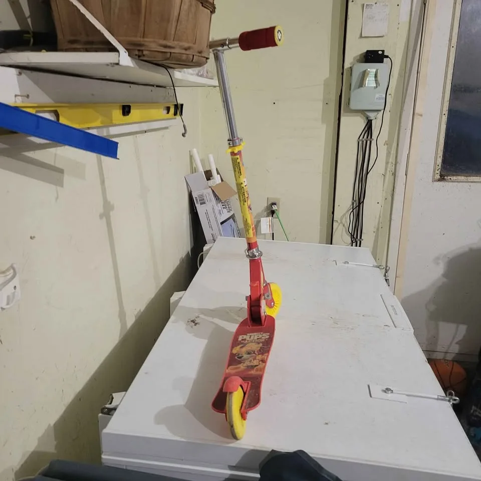 EUC Paw Patrol Scooter image indicator(2)