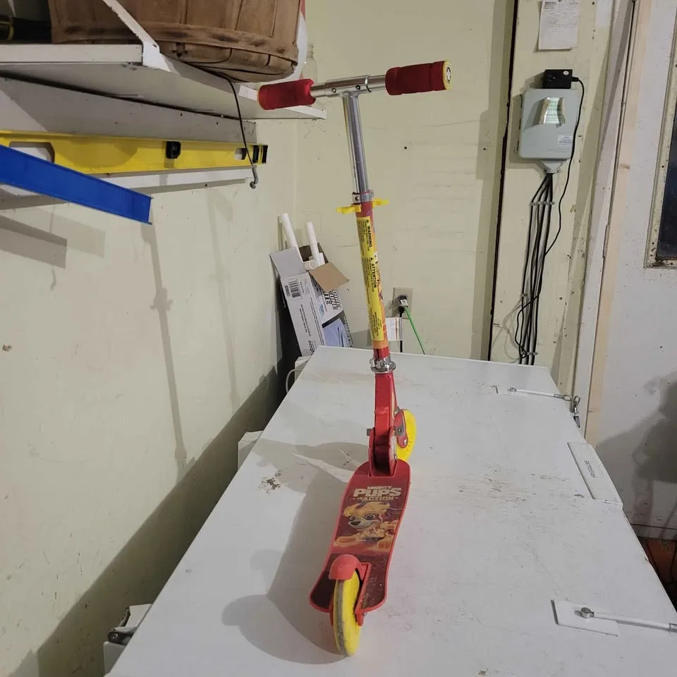 EUC Paw Patrol Scooter image indicator(3)