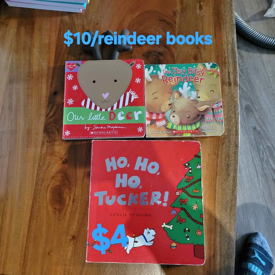 Boardbooks and electronic learning book