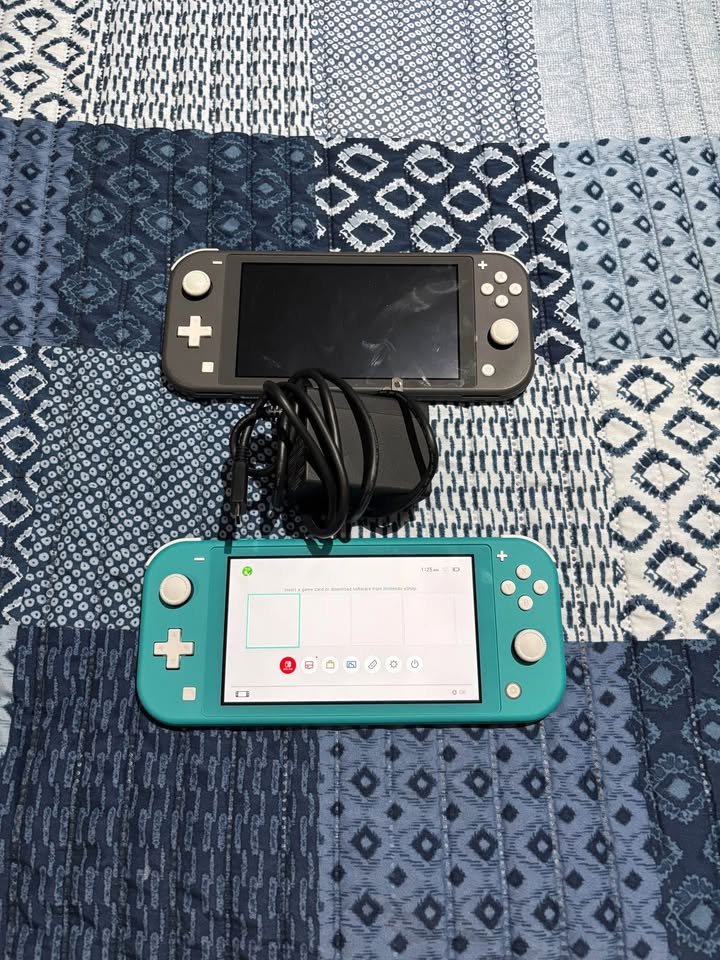 Nintendo Switch Lite - photo 3