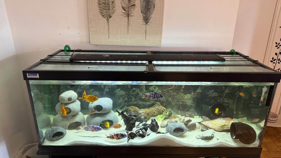 Marineland LED aquarium light 36-48 inch - photo 3