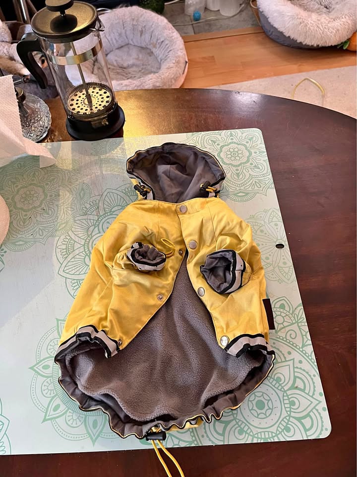 Bright Yellow Dog 🐶 Jacket w/ detachable warm lining-Medium