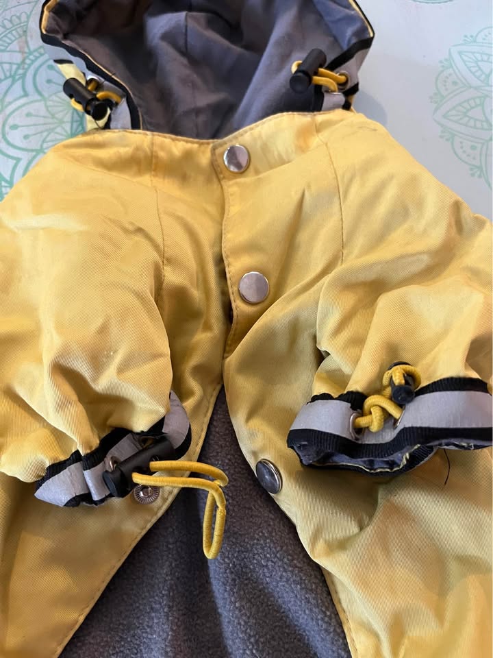 Bright Yellow Dog 🐶 Jacket w/ detachable warm lining-Medium - photo 3