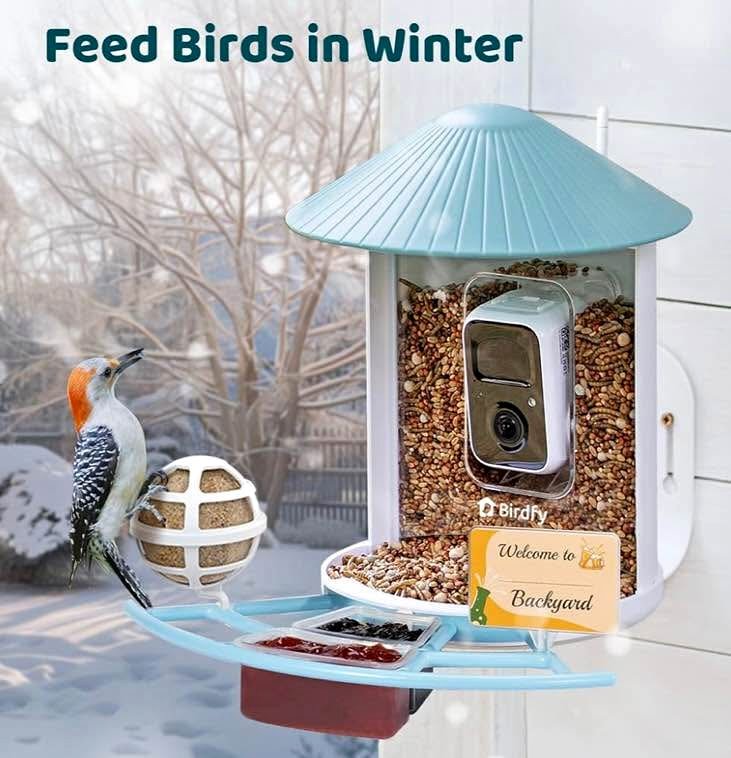 NETVUE by Birdfy Smart Bird Feeder with Camera
