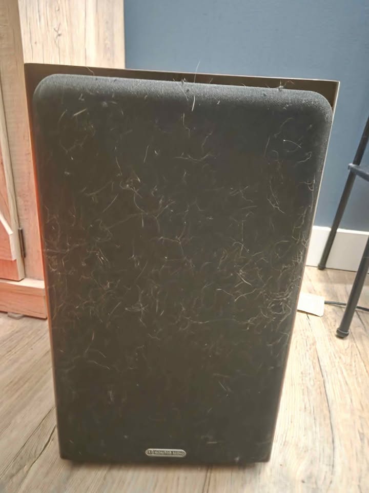 Monitor Audio Speakers (2×) - photo 3