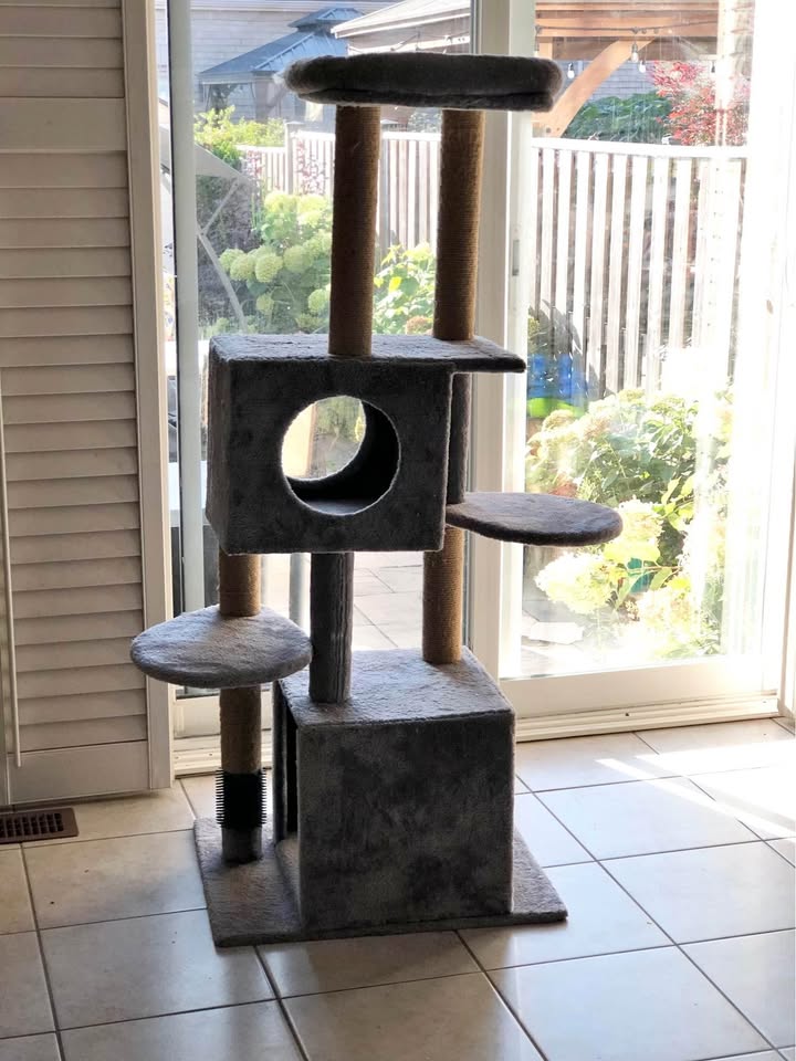 Big Cat tree