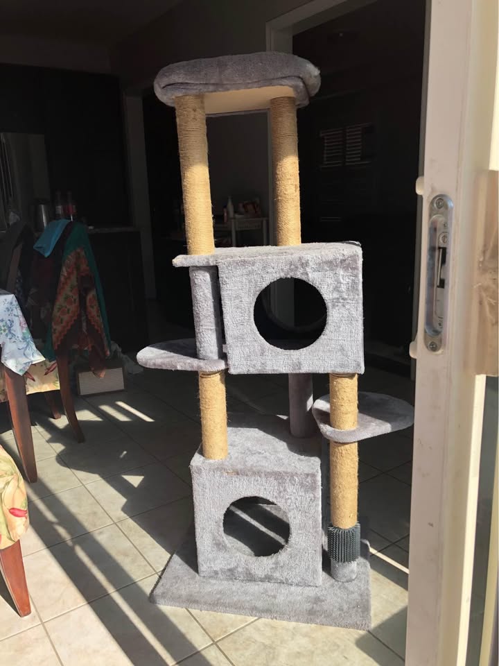 Big Cat tree - photo 2