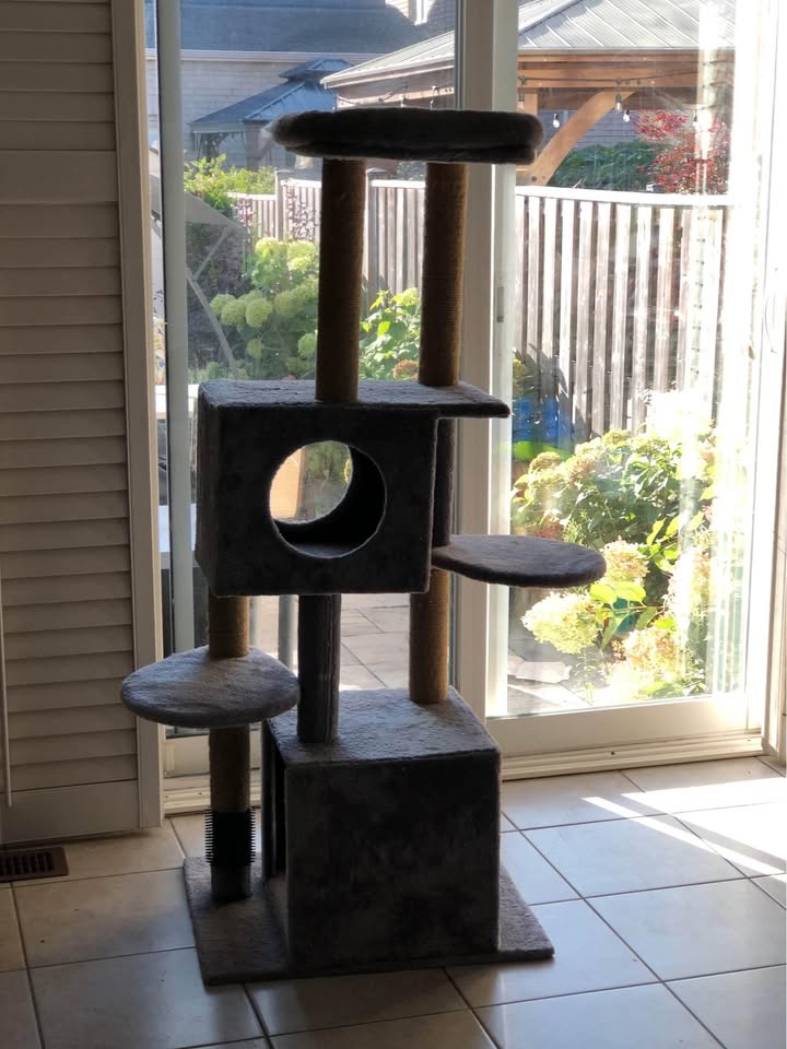 Big Cat tree - photo 3