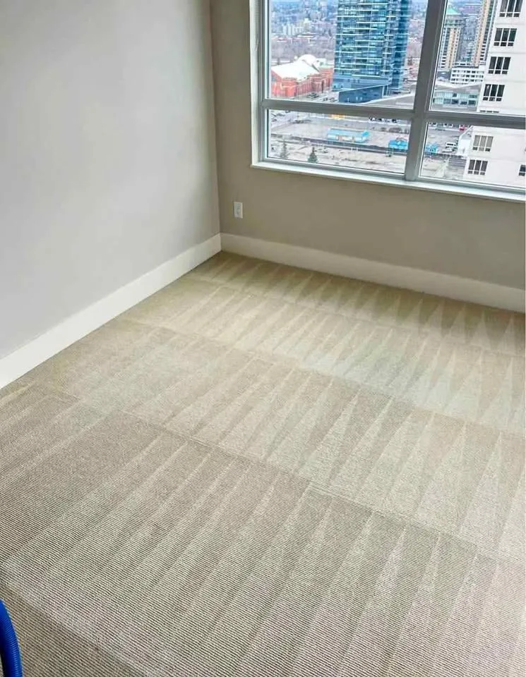 Carpet Deep Cleaning Services