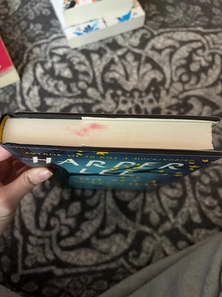 Go Set a Watchman by Harper Lee image indicator(2)