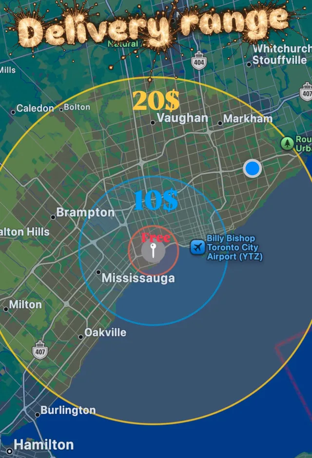 Self Cleaning Litter Box,Automatic Cat Litter Box image indicator(9)