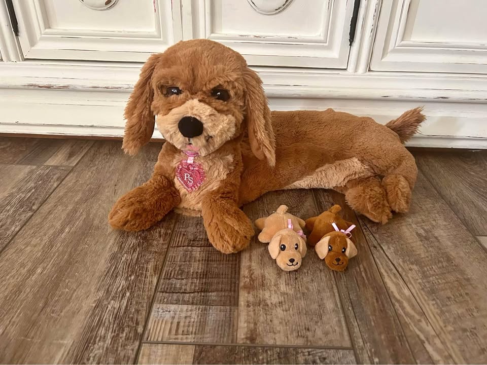 Puppy Surprise Animated with 2 Puppies