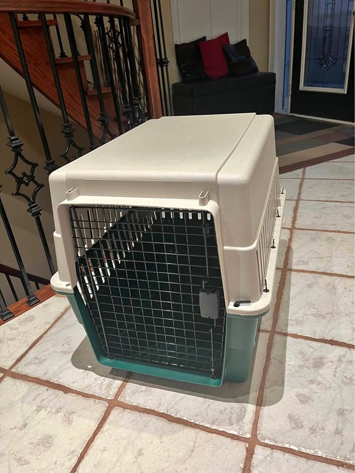 Used medium/large dog crate 28x22x20 inches
