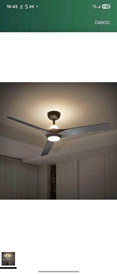 Ceiling Fans with Lights