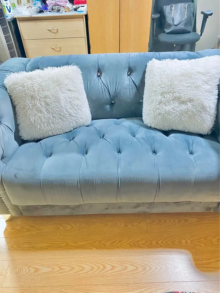 Love seat and chair set with 3 beautiful pillow cases