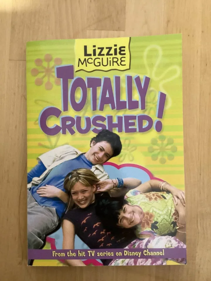 Lizzie McGuire books image indicator(5)