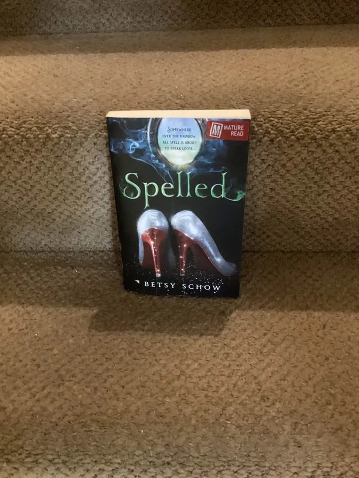 Adult Chapter Books image indicator(2)