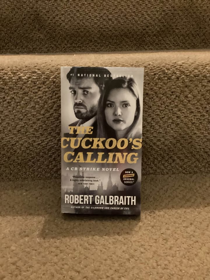 Adult Chapter Books - photo 4