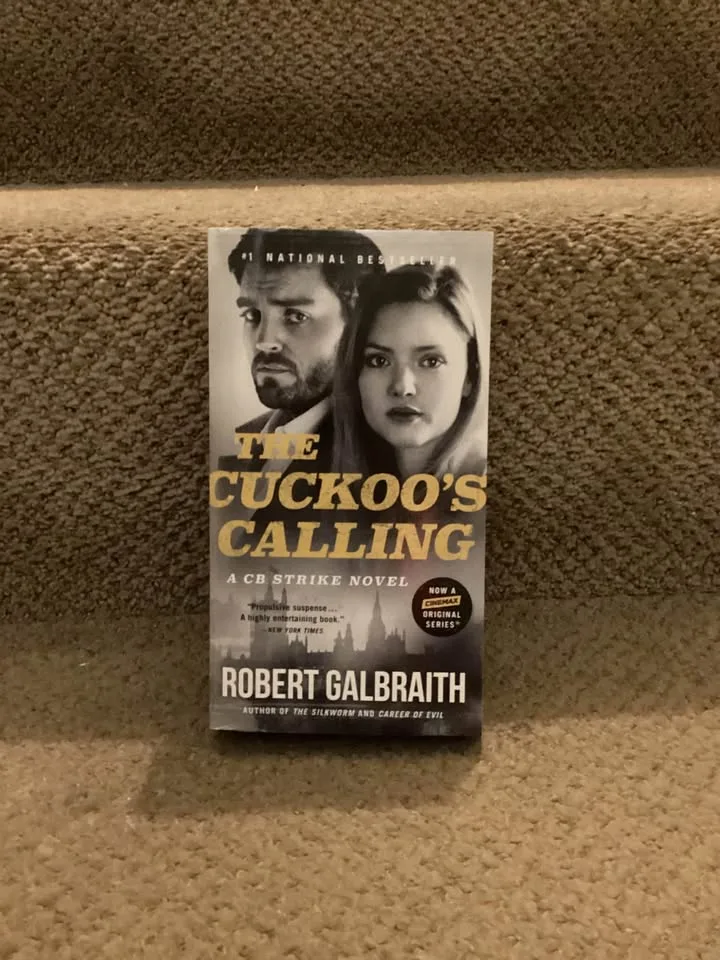 Adult Chapter Books image indicator(4)