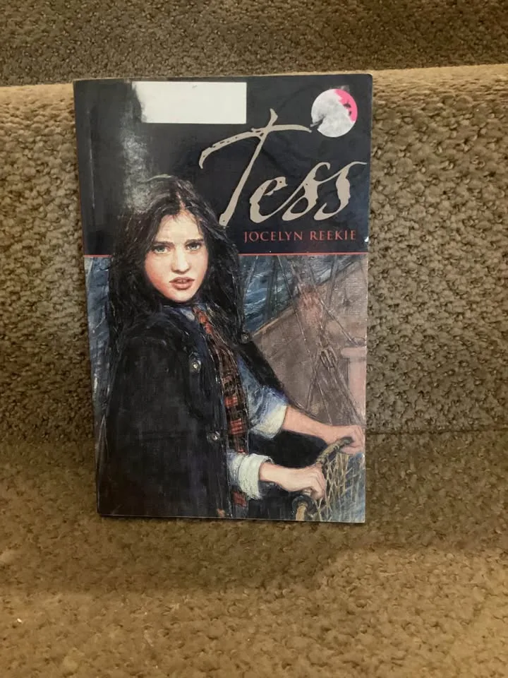 Chapter books image indicator(2)