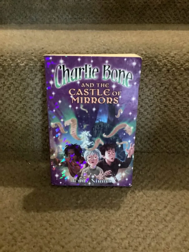 Chapter books image indicator(4)