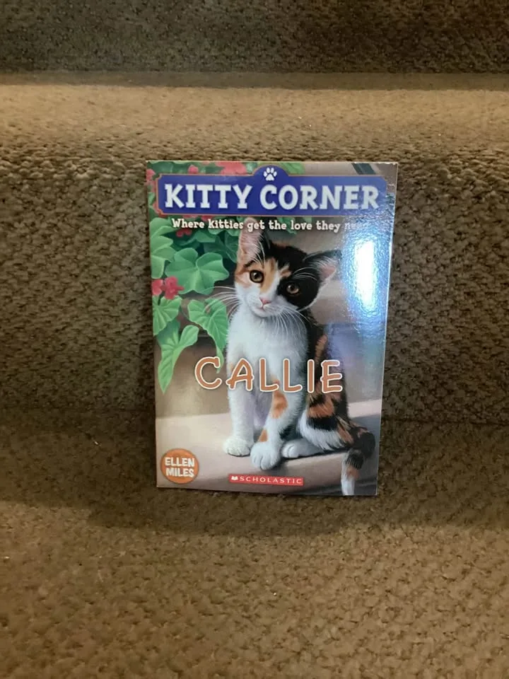 Chapter books image indicator(6)