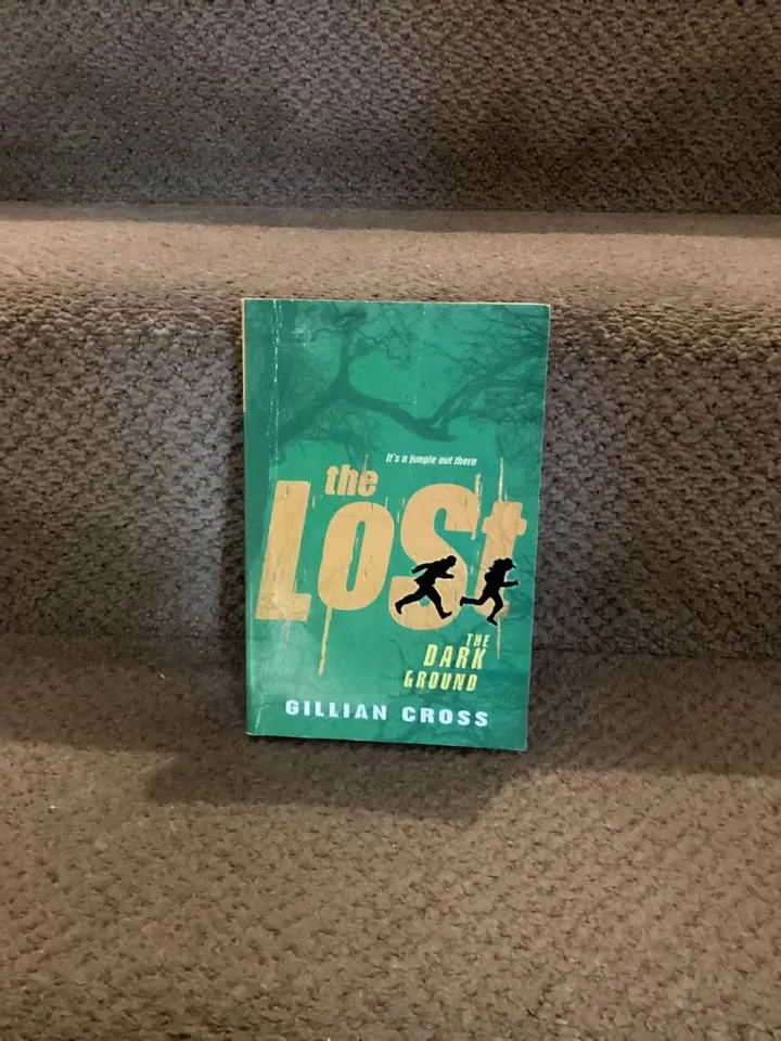 Chapter books image indicator(7)