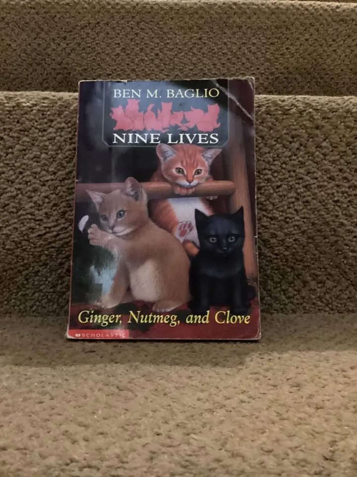 Chapter books image indicator(8)