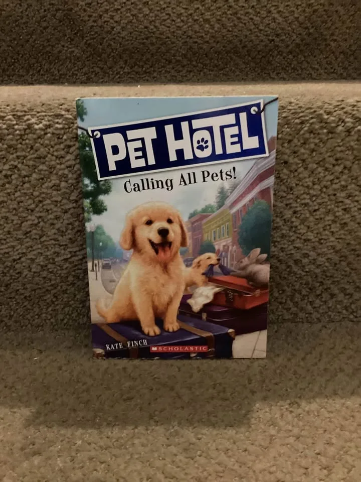 Chapter books image indicator(2)